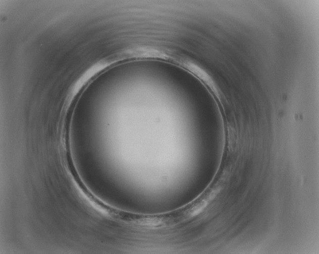 X0000080721141200612151152