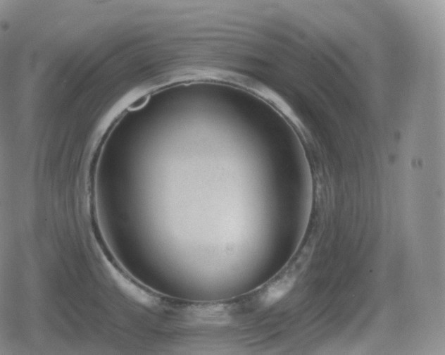 X0000080721143200612151152