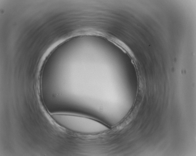 X0000080721144200612151152