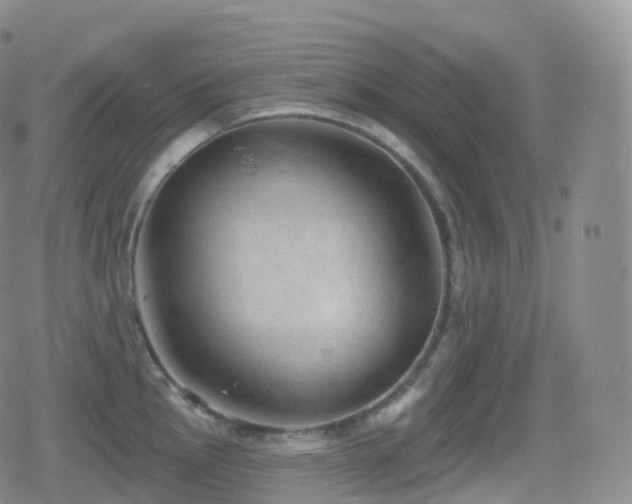 X0000080721145200612151152