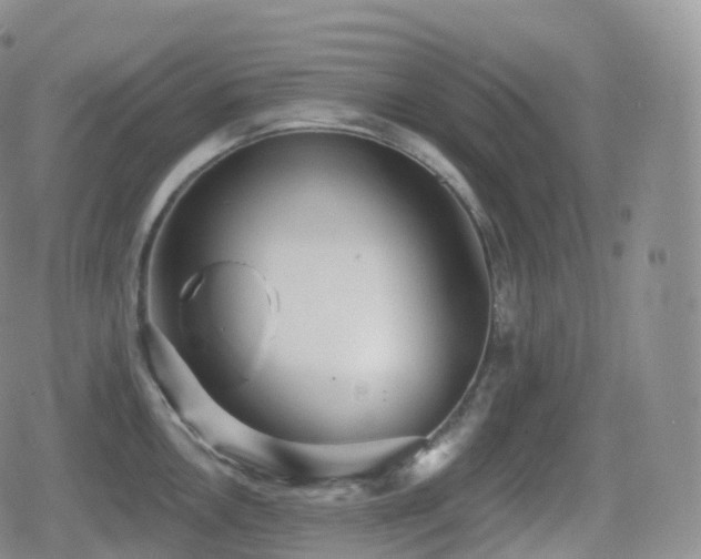 X0000080721146200612151152