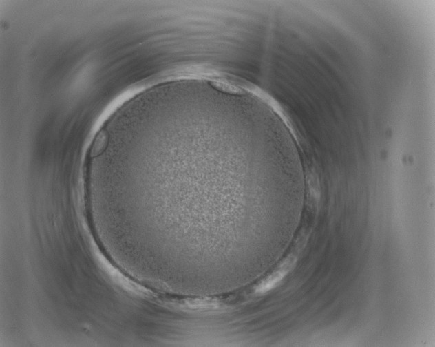 X0000080721147200612151152