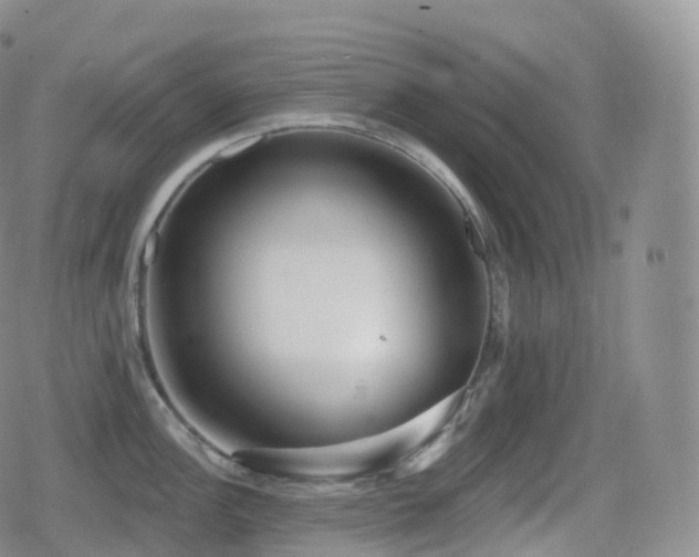 X0000080721148200612151152