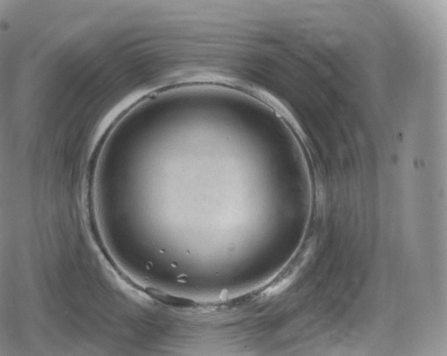 X0000080721149200612151152