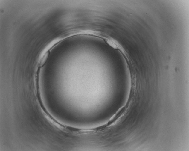 X0000080721151200612151152