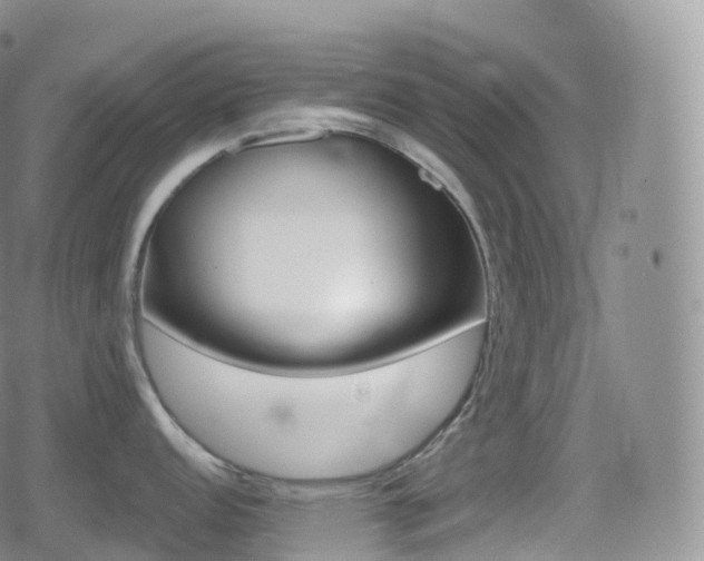 X0000080721152200612151152