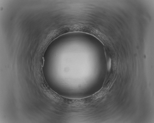 X0000080721153200612151152