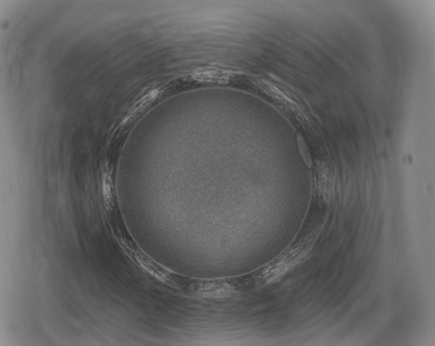 X0000080721154200612151152