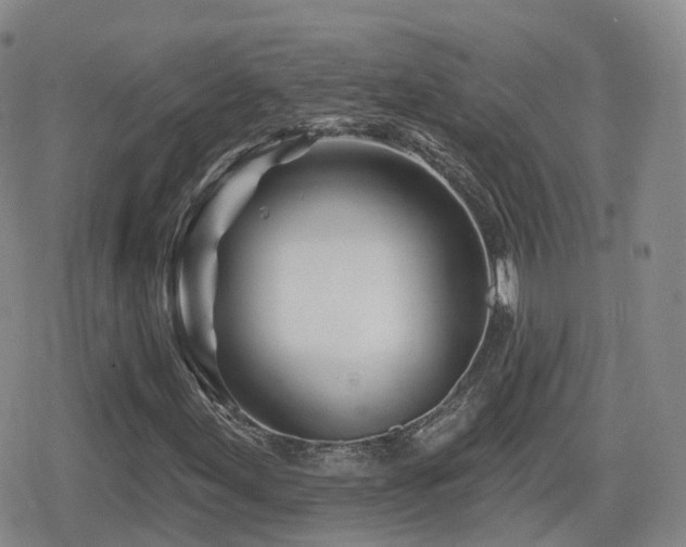 X0000080721155200612151152