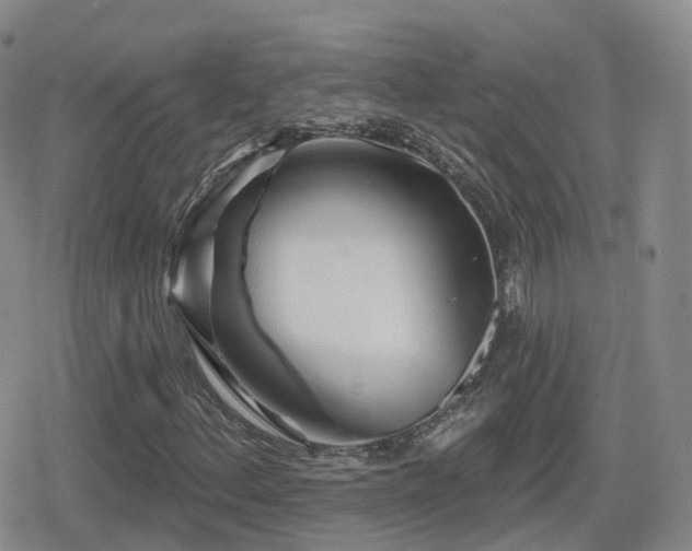 X0000080721156200612151152