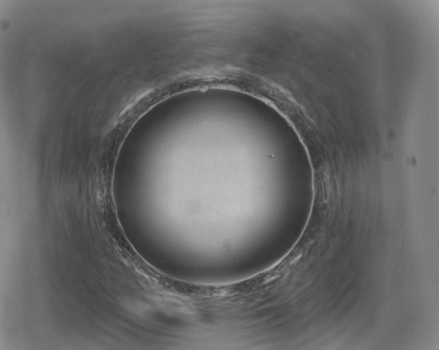 X0000080721158200612151152