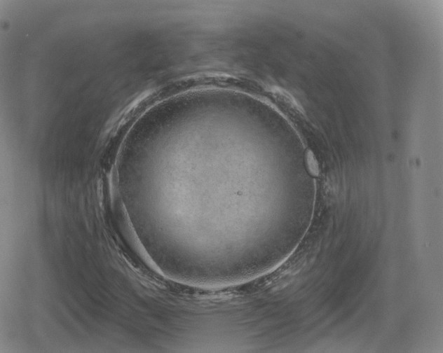 X0000080721159200612151152