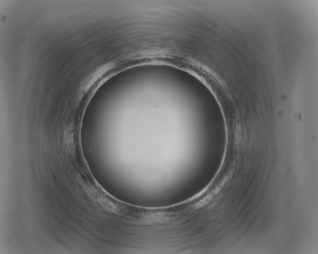 X0000080721162200612151151