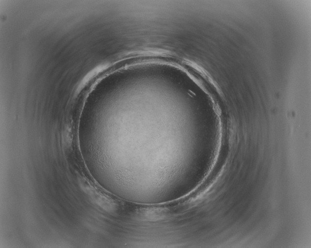 X0000080721163200612151151