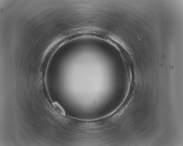 X0000080721164200612151151