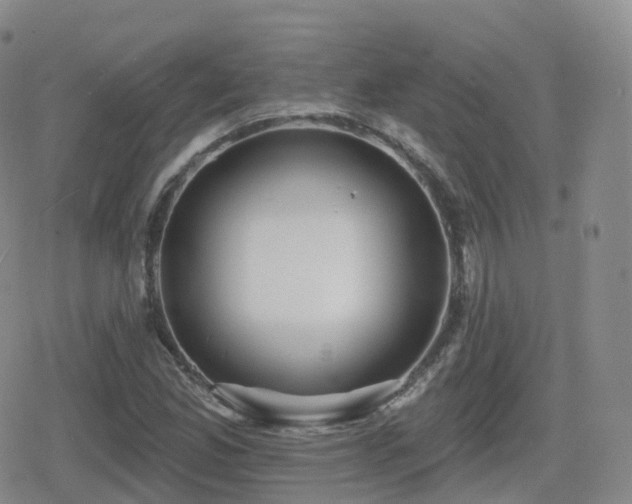 X0000080721165200612151151