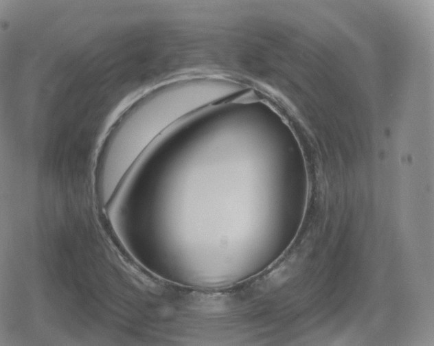 X0000080721168200612151151