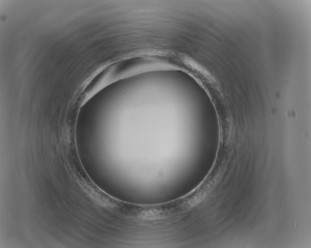 X0000080721169200612151151