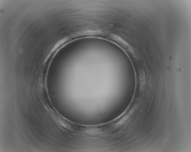 X0000080721170200612151151