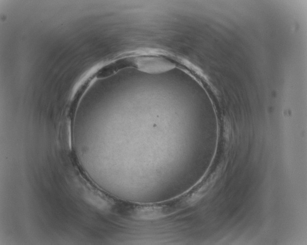 X0000080721171200612151151