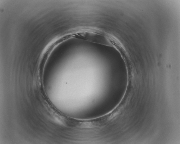 X0000080721172200612151151