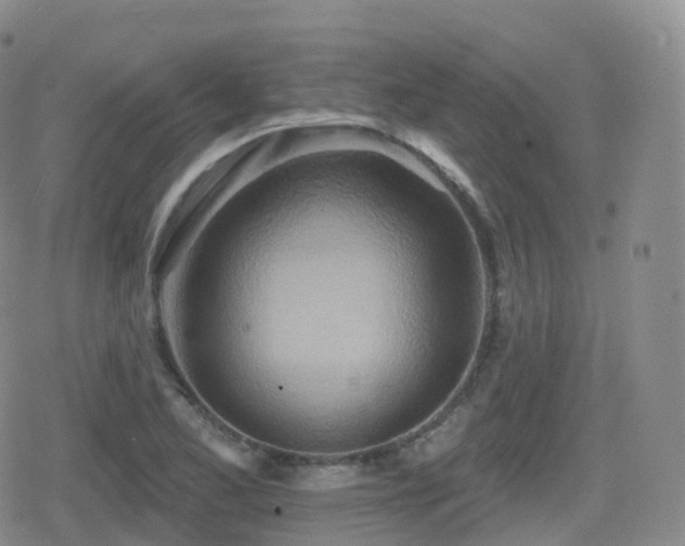 X0000080721173200612151151