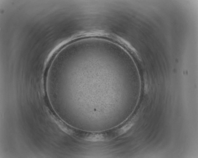 X0000080721174200612151151