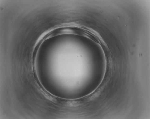 X0000080721176200612151151