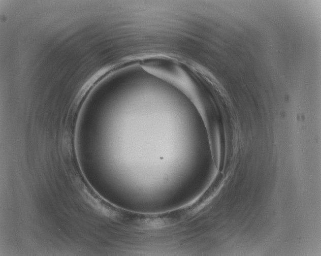 X0000080721177200612151151