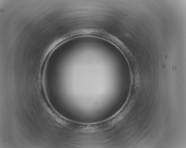 X0000080721178200612151151