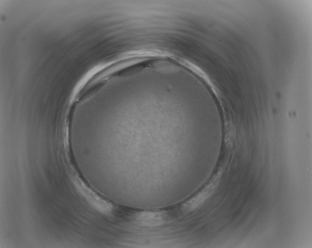 X0000080721179200612151151