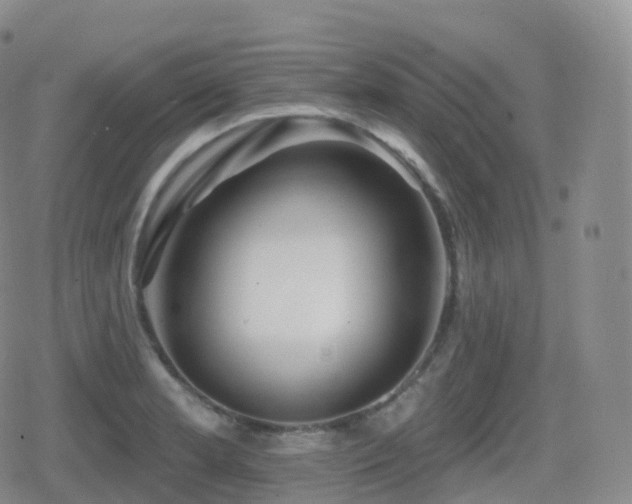 X0000080721181200612151151