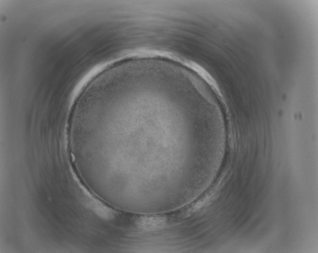 X0000080721183200612151151