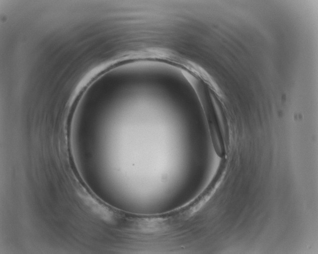 X0000080721184200612151151