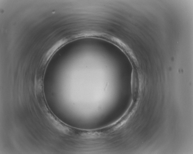 X0000080721185200612151151