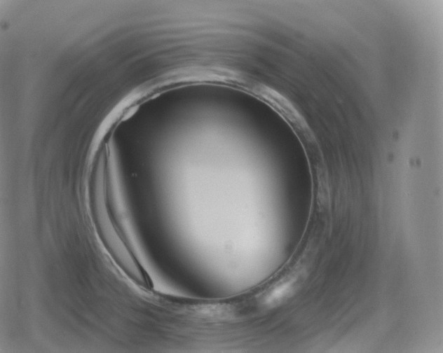 X0000080721188200612151151