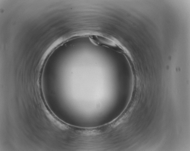 X0000080721189200612151151