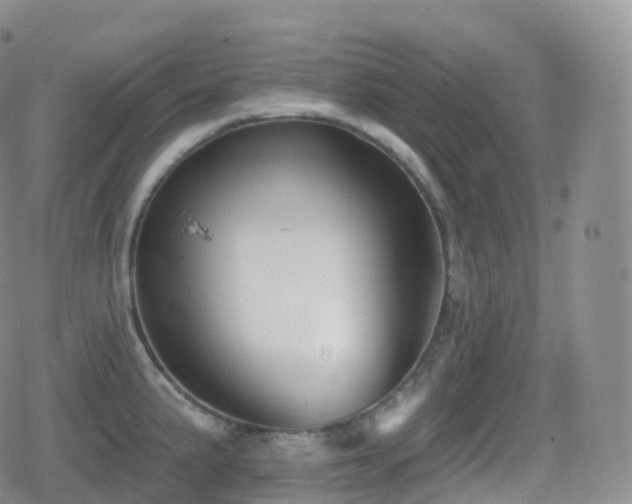 X0000080721191200612151151