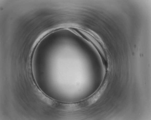 X0000080721192200612151151