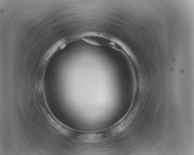 X0000080721193200612151151