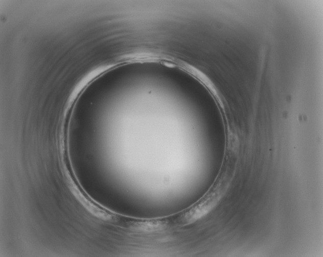 X0000080721195200612151151