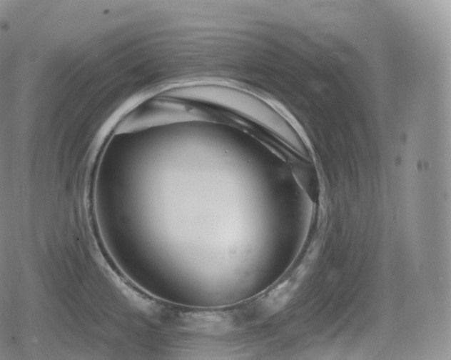 X0000080721197200612151151