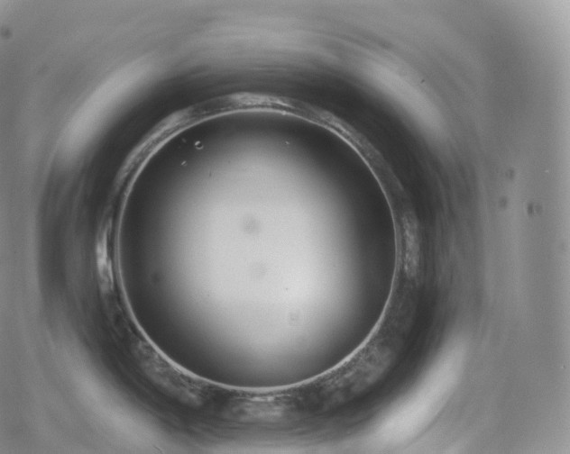 X0000080721198200612151151