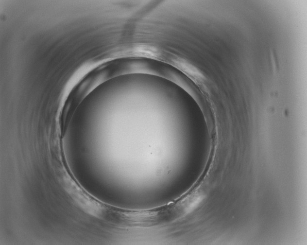 X0000080721200200612151151