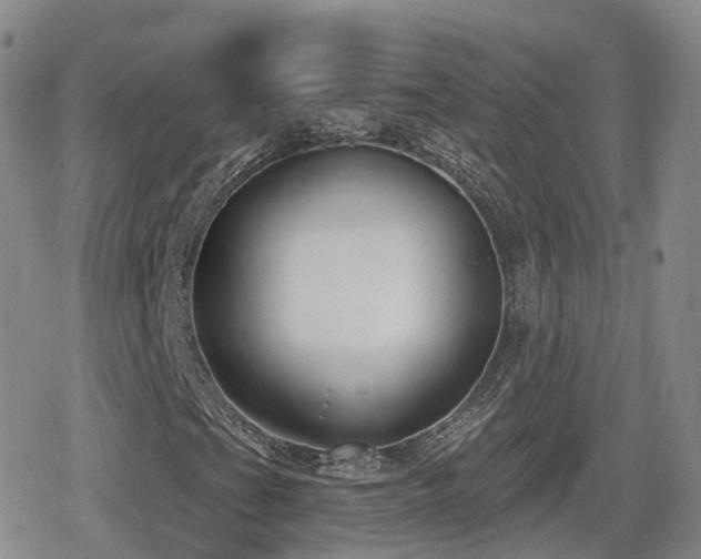 X0000080721201200612151150