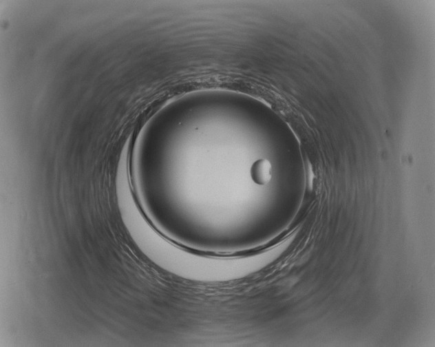 X0000080721202200612151150