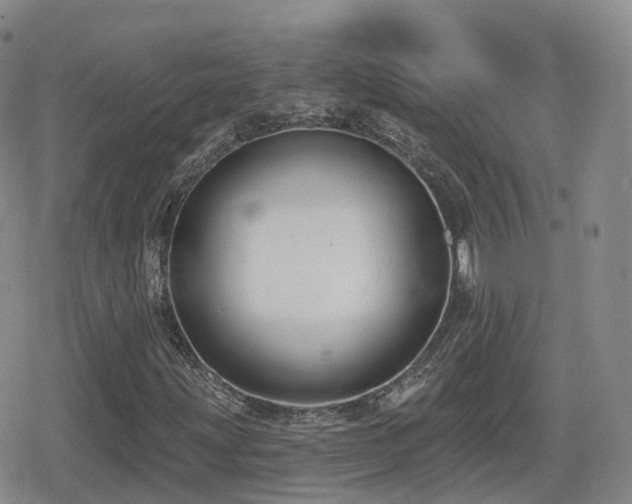 X0000080721203200612151150