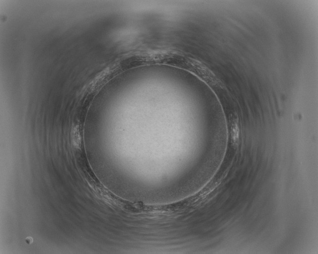 X0000080721204200612151150