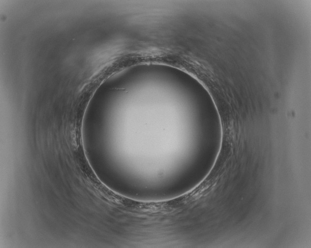 X0000080721205200612151150