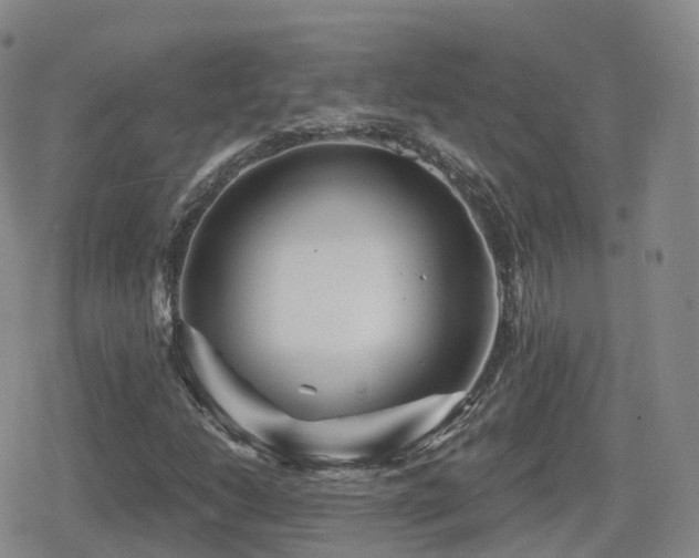 X0000080721206200612151150